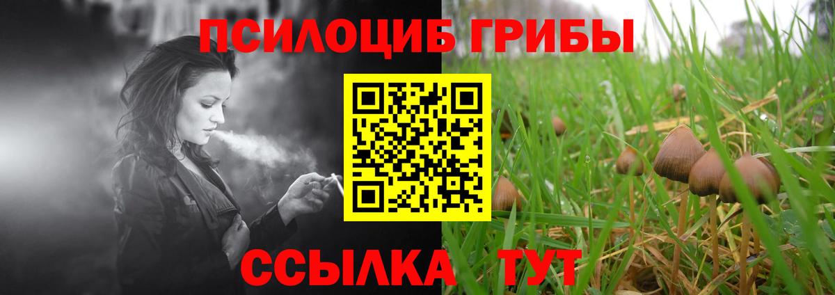 Псилоцибиновые грибы прущие грибы  Вход с VPN  Алатырь 